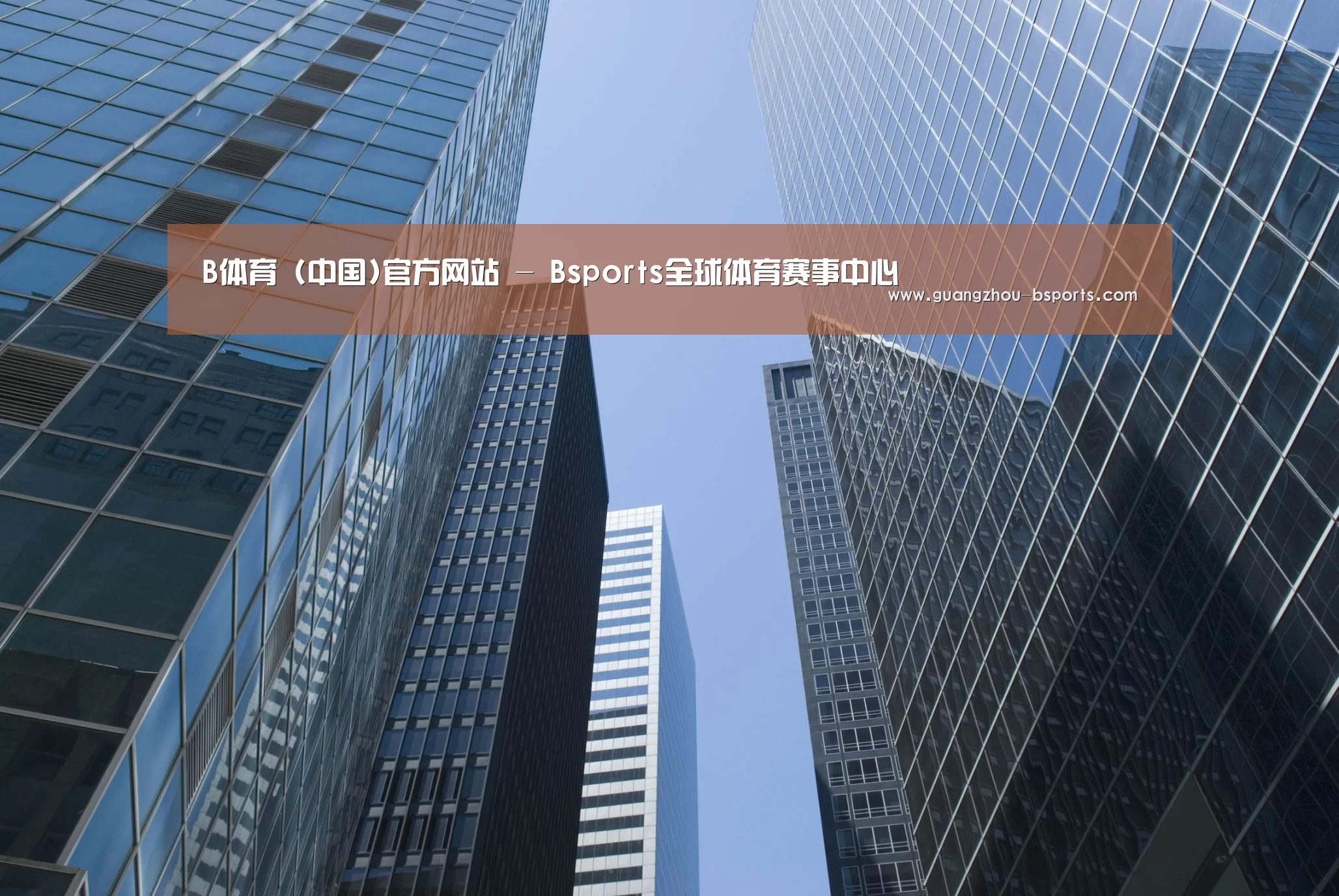 B体育公司简介 