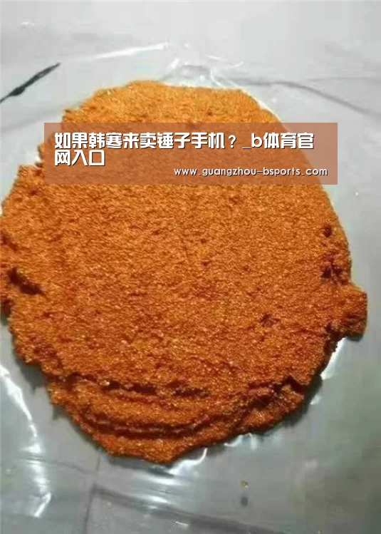 如果韩寒来卖锤子手机？_b体育官网入口